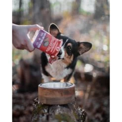 Stella & Chewy's Stew Wet Food For Dogs Case Of 12 -Pet Dog Supplies Stellas Stew turkey