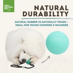 Only Natural Pet Natural Rubber Bond Building Fetch And Tug Dog Toys -Pet Dog Supplies TealBallandRopeDurabilityInfographic