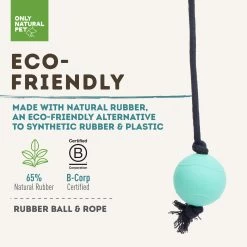 Only Natural Pet Natural Rubber Bond Building Fetch And Tug Dog Toys -Pet Dog Supplies TealBallandRopeEco FriendlyInfographic