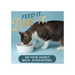 The Missing Link Pet Kelp Formula Feline Well-Being Cat Supplement -Pet Dog Supplies TheMissingLinkPetKelpFormulaFelineWell BeingCatSupplementGuaranteeInfographic