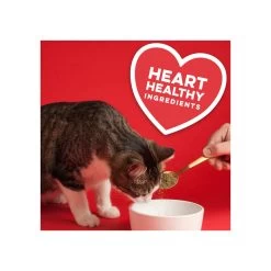 The Missing Link Pet Kelp Formula Feline Well-Being Cat Supplement -Pet Dog Supplies TheMissingLinkPetKelpFormulaFelineWell BeingCatSupplementHeartHealthyInfographic