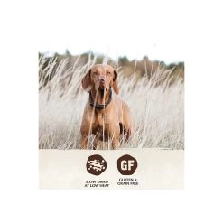 Wellness Core Grain Free Air-Dried Dog Food -Pet Dog Supplies Wellness TenderBites ChickTurkey Infographic2