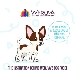 Weruva Meals 'n More Skin & Coat Wet Dog Food -Pet Dog Supplies WeruvaMeals nMoreSkin CoatWetDogFoodInfographic2 a09dfe12 d0c9 4b0c a0e8 06af4d182abf