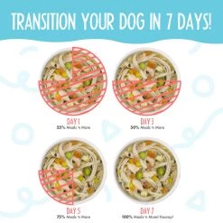 Weruva Meals 'n More Skin & Coat Wet Dog Food -Pet Dog Supplies WeruvaMeals nMoreSkin CoatWetDogFoodJammin SalmonInfographic2