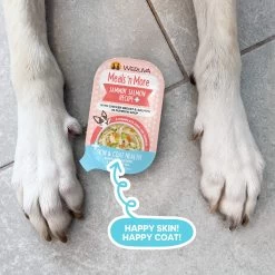 Weruva Meals 'n More Skin & Coat Wet Dog Food -Pet Dog Supplies WeruvaMeals nMoreSkin CoatWetDogFoodJammin SalmonLifestyle
