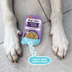 Weruva Meals 'n More Skin & Coat Wet Dog Food -Pet Dog Supplies WeruvaMeals nMoreSkin CoatWetDogFoodSteakFritesLifestyle