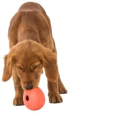 West Paw Rumbl Dog Puzzle Toy -Pet Dog Supplies WestPawRumblCoralLifestyle