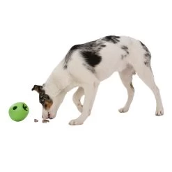 West Paw Rumbl Dog Puzzle Toy -Pet Dog Supplies WestPawRumblJungleGreenInfographic