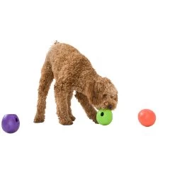 West Paw Rumbl Dog Puzzle Toy -Pet Dog Supplies WestPawRumblLifestyle