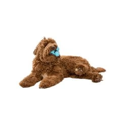 West Paw Zogoflex Tux -Pet Dog Supplies WestPawZogoflexTuxLifestyle