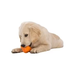 West Paw Zogoflex Tux -Pet Dog Supplies WestPawZogoflexTuxLifestyle3