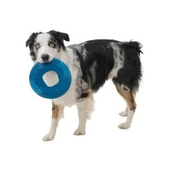 West Paw BPA-Free Sailz Float Toy For Dogs -Pet Dog Supplies WestPaw Sailz Surf Dog