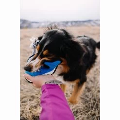 Only Natural Pet Sea Creatures Recycled Plush Dog Toys -Pet Dog Supplies WinstontheWhaleSeaCreaturesPlushDogToyLifestyle