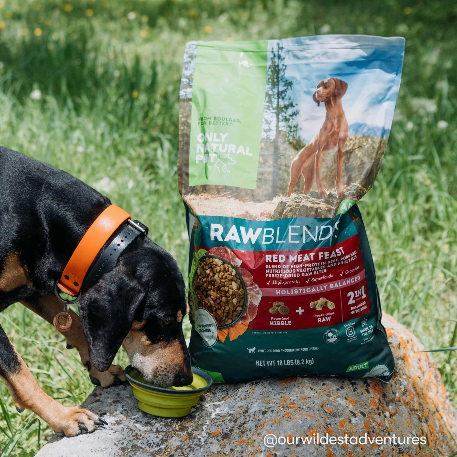 Only Natural Pet Raw Blends Red Meat Feast Raw Grain Free Dog Food 9 Only Natural Pet Raw Blends Red Meat Feast Raw Grain Free Dog Food - Image 9