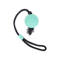 Only Natural Pet Natural Rubber Bond Building Fetch And Tug Dog Toys -Pet Dog Supplies web AndyDowns r1 01B 3110 1