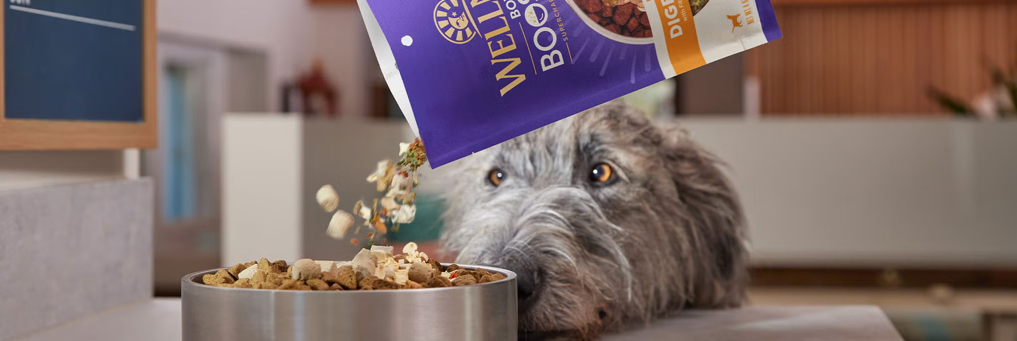 Pet Dog Supplies -Pet Dog Supplies 1